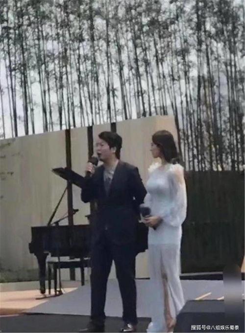郎朗和吉娜最新爆料,揭秘他们的甜蜜生活与音乐梦想  第3张