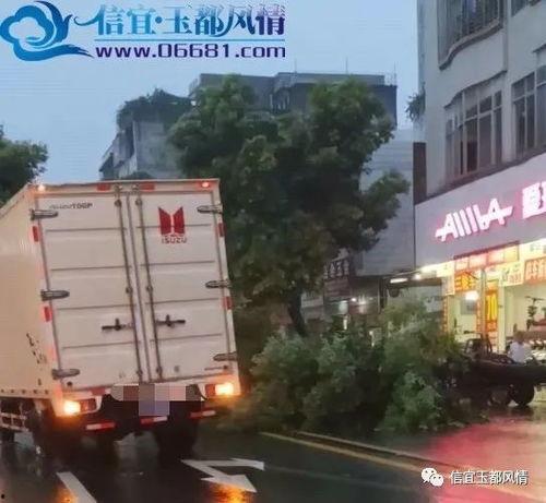 广州大南路爆料案件最新,惊曝惊人内幕,真相即将揭晓 第3张 广州大南路爆料案件最新,惊曝惊人内幕,真相即将揭晓 第3张